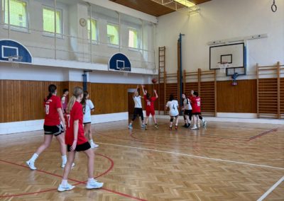 basketbal, okresní kolo dívky 12