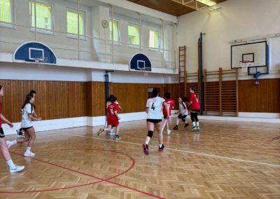 basketbal, okresní kolo dívky 14