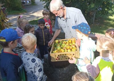 bečov botanické zahrada, sovičky (18)