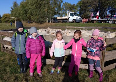 suchá stříhání ovcí, 2.a, 2.b (85)