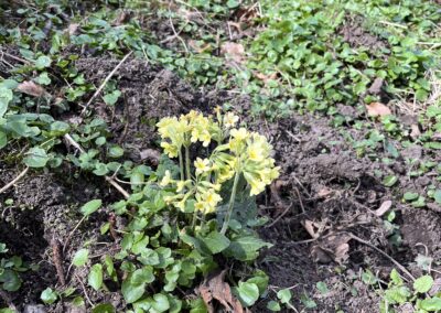 družina v kyselce (14)